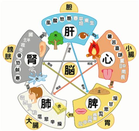 陰陽五行 水 性格